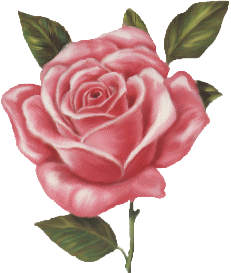 l'amoure