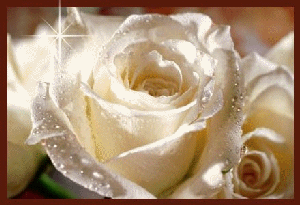 fleures